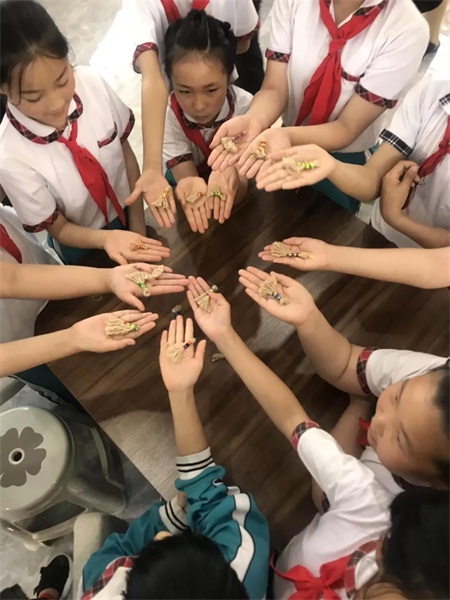 微信图片_20190604093640.jpg