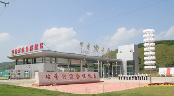 9534682_132245.jpg