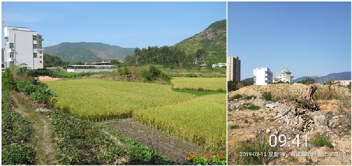 左为2013年11月土地原状，右为2019年3月土地现状.jpg