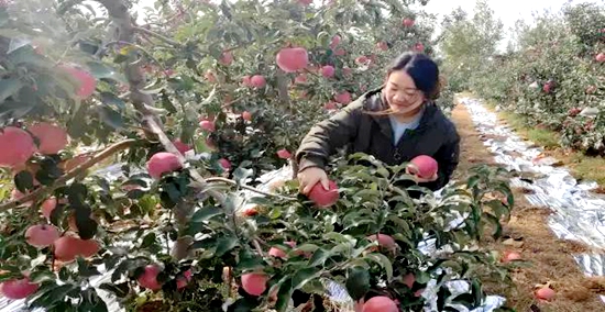 微信图片_20191015155538.jpg