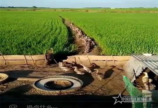 红.jpg