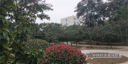 微信图片_20191016162219.jpg