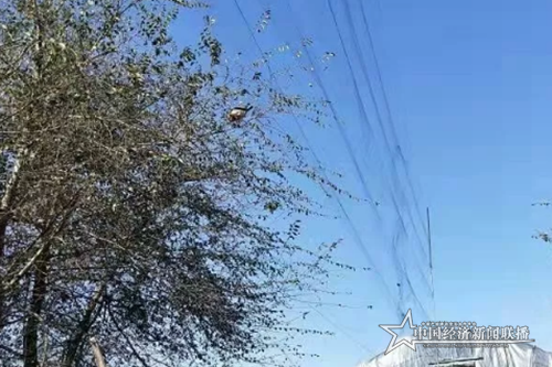 微信截图_20191029091415.png