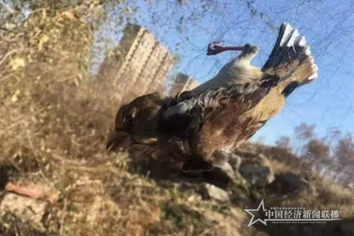 微信截图_20191029091429.png