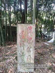 遂川江图_副本.jpg