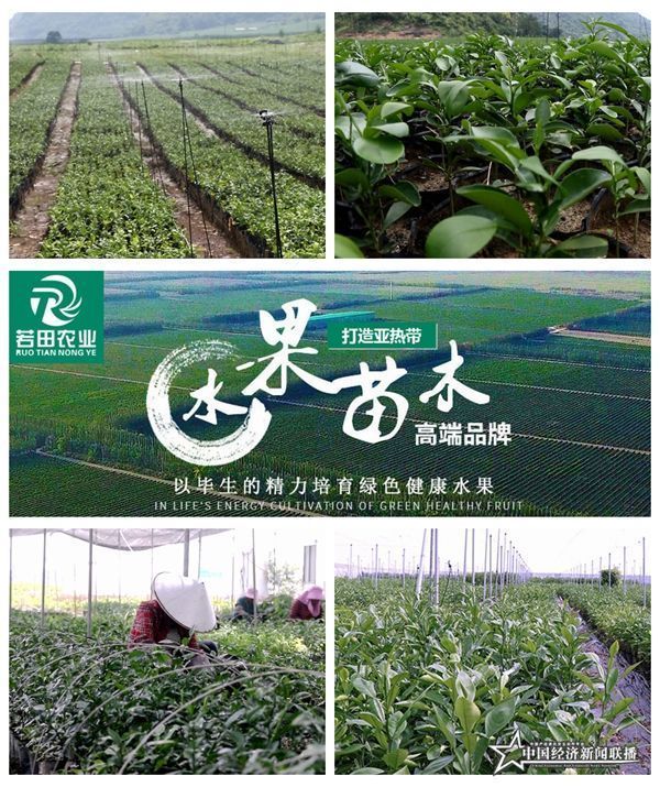 组合3_副本.jpg