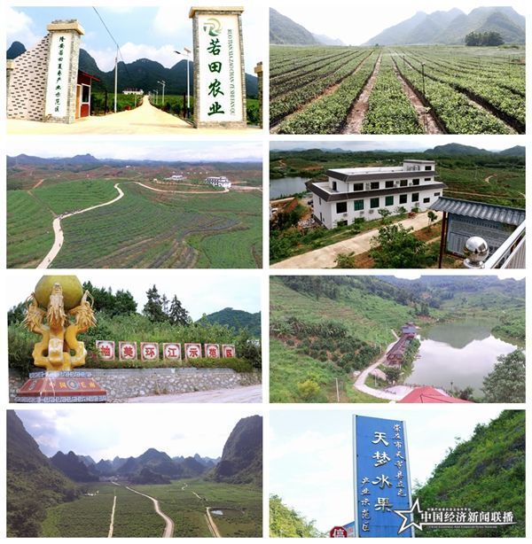 组合2_副本.jpg