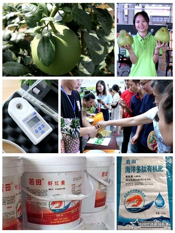 组合4_副本.jpg