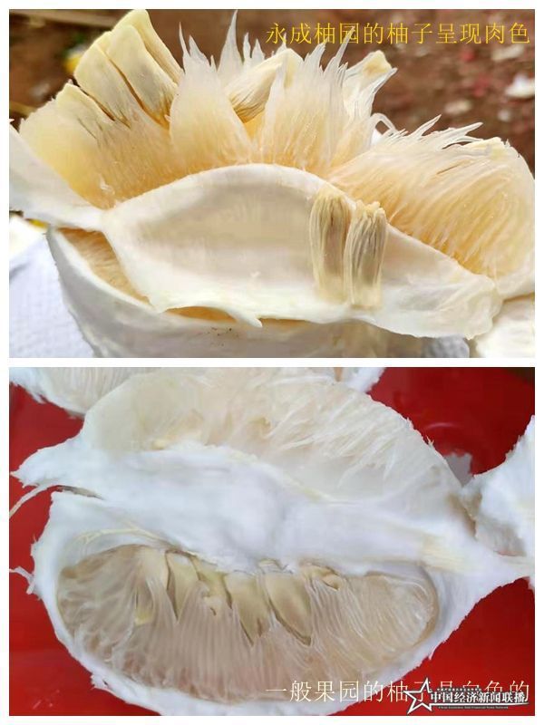 组合04.jpg