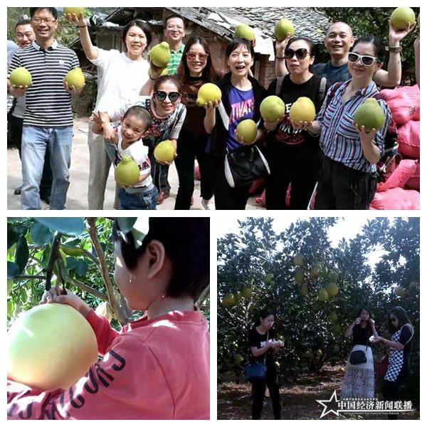 组合02.jpg
