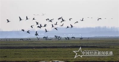 微信图片_20191204085648.jpg