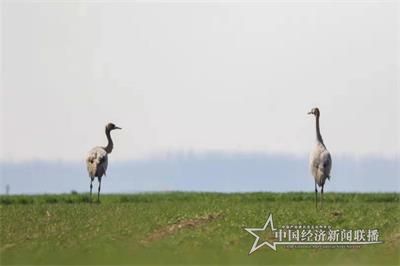 微信图片_20191204085754.jpg