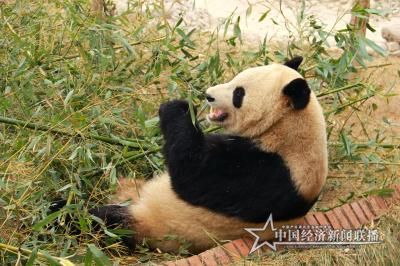 微信图片_20200119084037.jpg