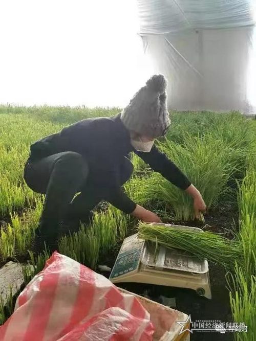 微信图片_20200207161740.jpg