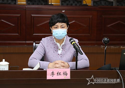 李红梅书记总结讲话000.jpg