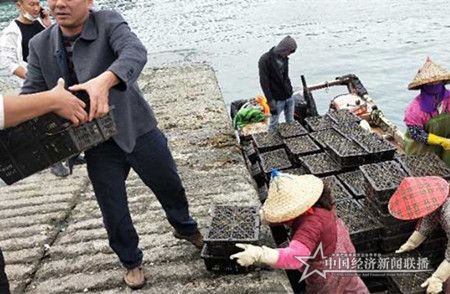 微信图片_20200228172318_副本_副本.jpg
