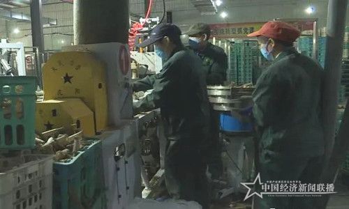 微信图片_20200302105040.jpg