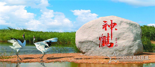 微信图片_20200303194302.png