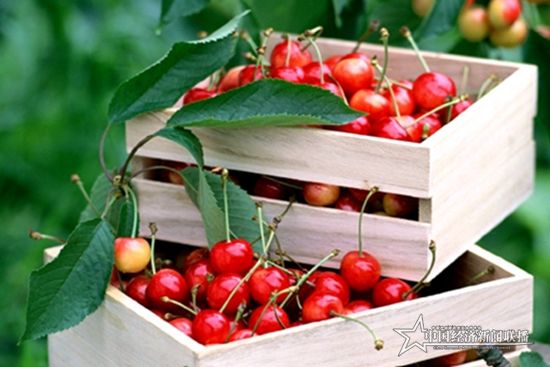 Img250282760_副本.jpg