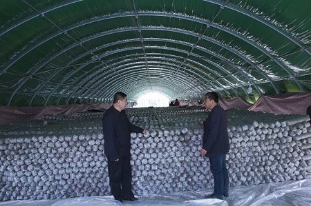 微信图片_20200319165237.jpg