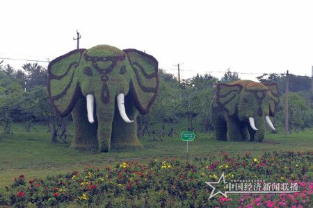 微信图片_20200321090229.jpg