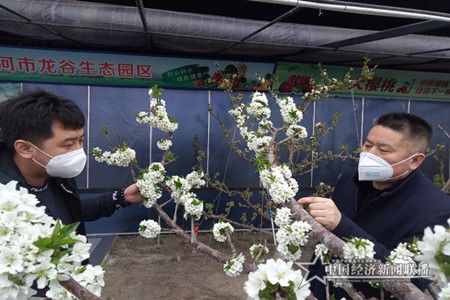 微信图片_20200324103117.jpg
