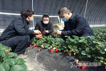 微信图片_20200324103130.jpg
