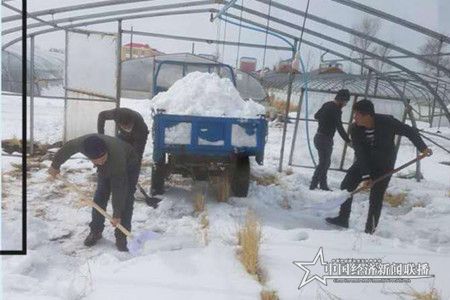 微信图片_20200324164201.jpg