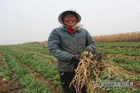 微信图片_20200329170310.jpg