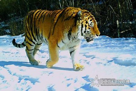 微信图片_20200403202228.jpg