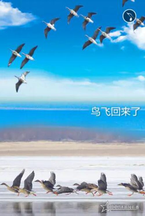 微信图片_20200405181948.jpg