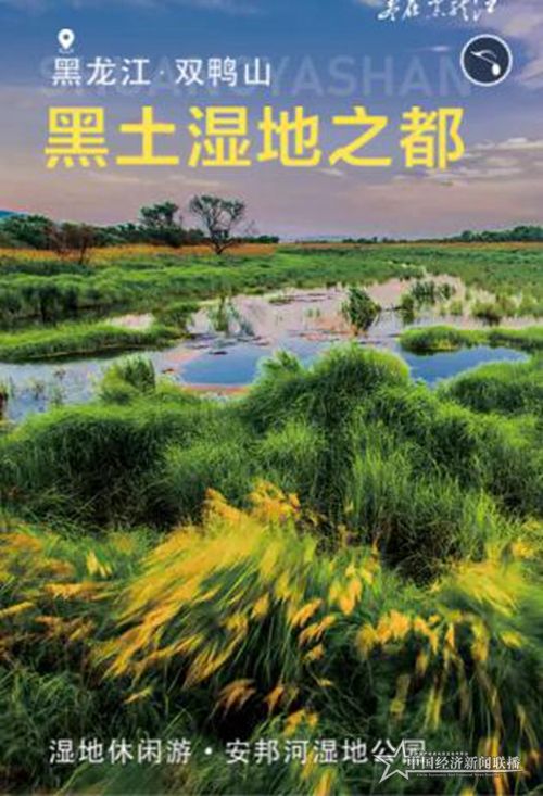 微信图片_20200405182047.jpg
