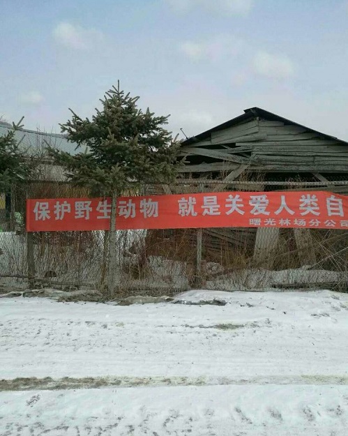 2 - 副本 (2).jpg