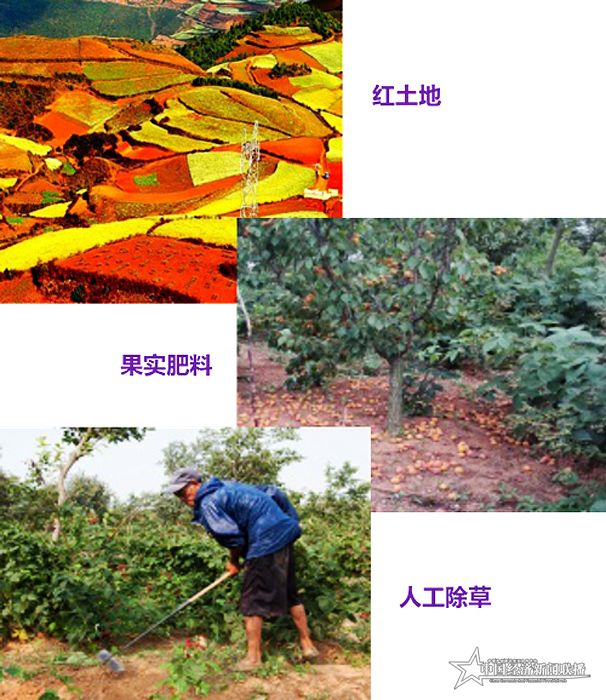 90.jpg