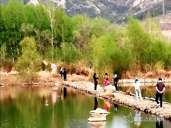微信图片_20200420094242.jpg