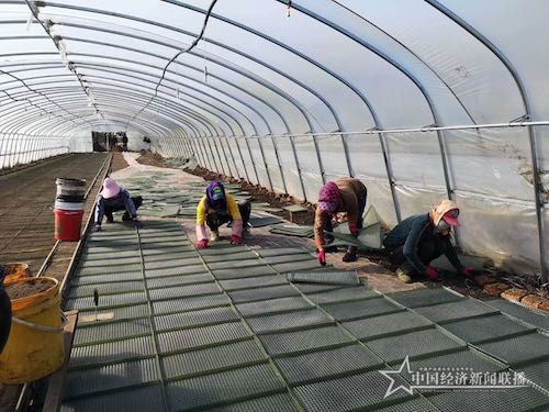 6801587685019_.pic.jpg