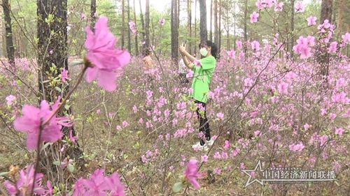 c757655cbfea752d201c8e1e03adf7a.jpg