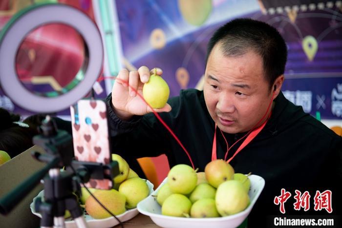 资料图:果农使用手机进行直播促销农产品。a target='_blank' href='http://www.chinanews.com/'中新社/a记者 韦亮 摄 资料图:果农使用手机进行直播促销农产品。a target='_blank' href='http://www.chinanews.com/'中新社/a记者 韦亮 摄