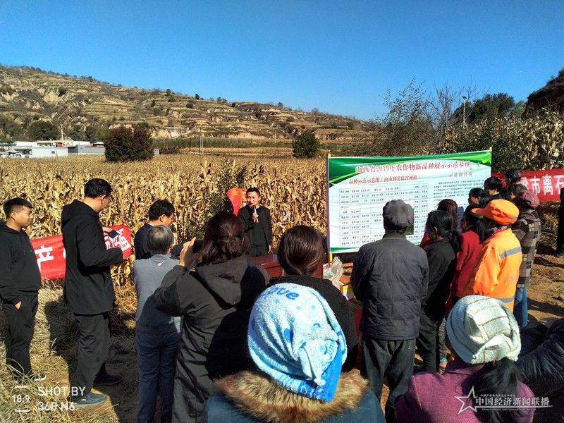 张旭兵给村民讲解农业实用技术。王晶晶摄.jpg