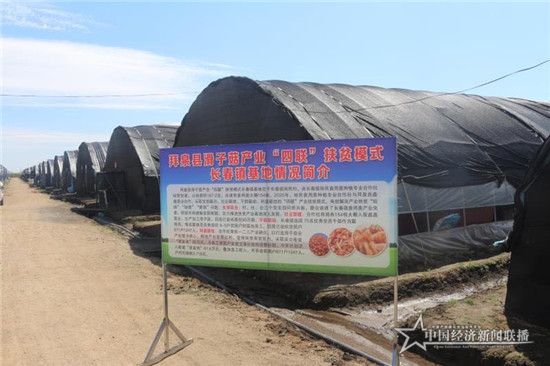 b663b8caae418de346755a8f69bba40_副本.jpg