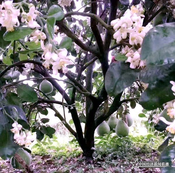 微信图片_20200706164559_副本.jpg