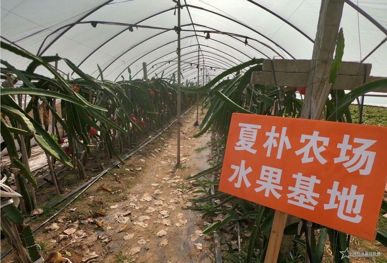 gaitubao_农场1_jpg.jpg