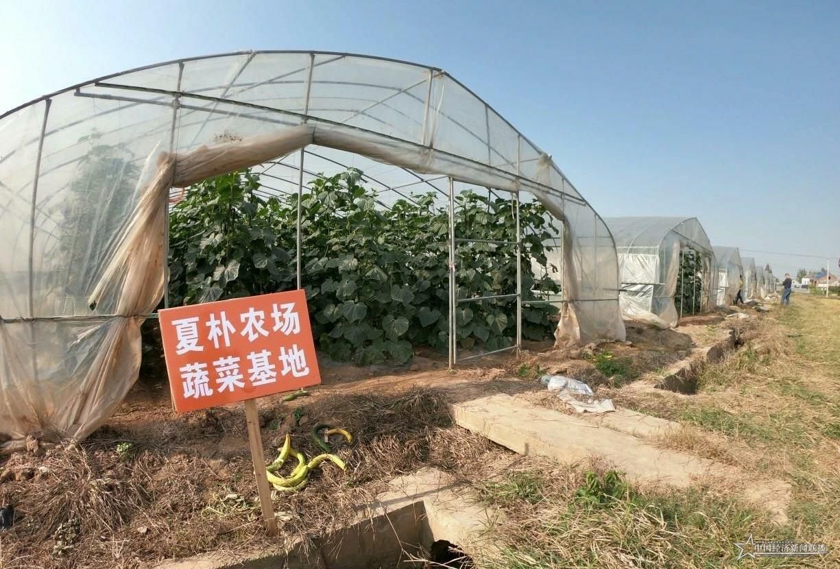 gaitubao_农场2_jpg.jpg