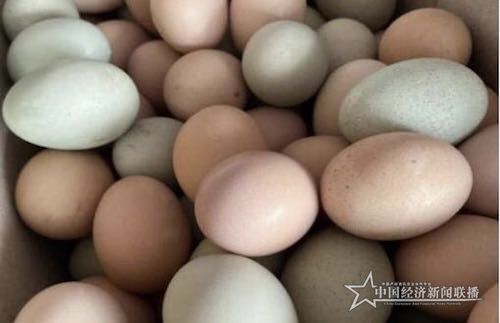 21431594085825_.pic.jpg