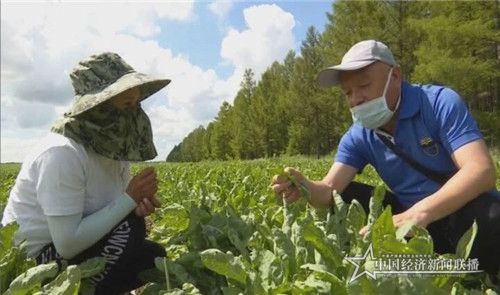 40efca20e41f1037522cbc35b1a1a01_副本.jpg