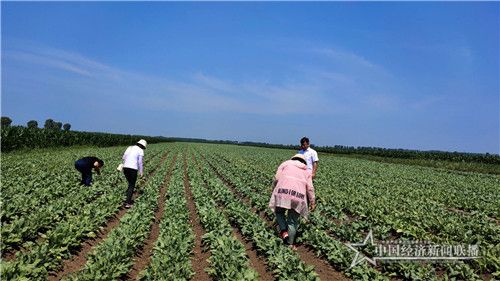 b24321456b71f23d73e639518b5b251_副本.jpg