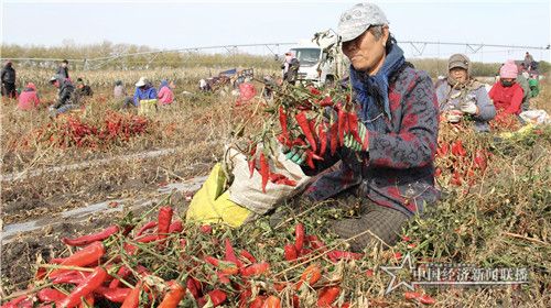 d27f4a50f1fe9bc214a7ad77e396c98_副本.jpg