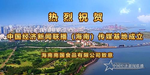 海南南国食品有限公司.jpg