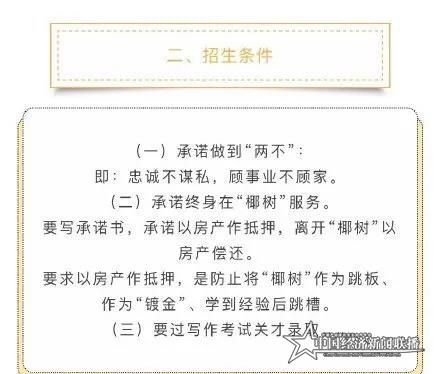 椰树.jpg