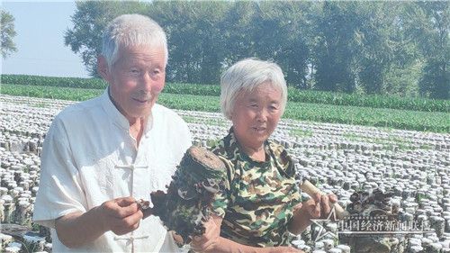 c026f2a44be46c388f8669989e87b79_副本.jpg